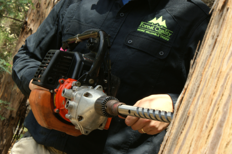 Increment Core sampling